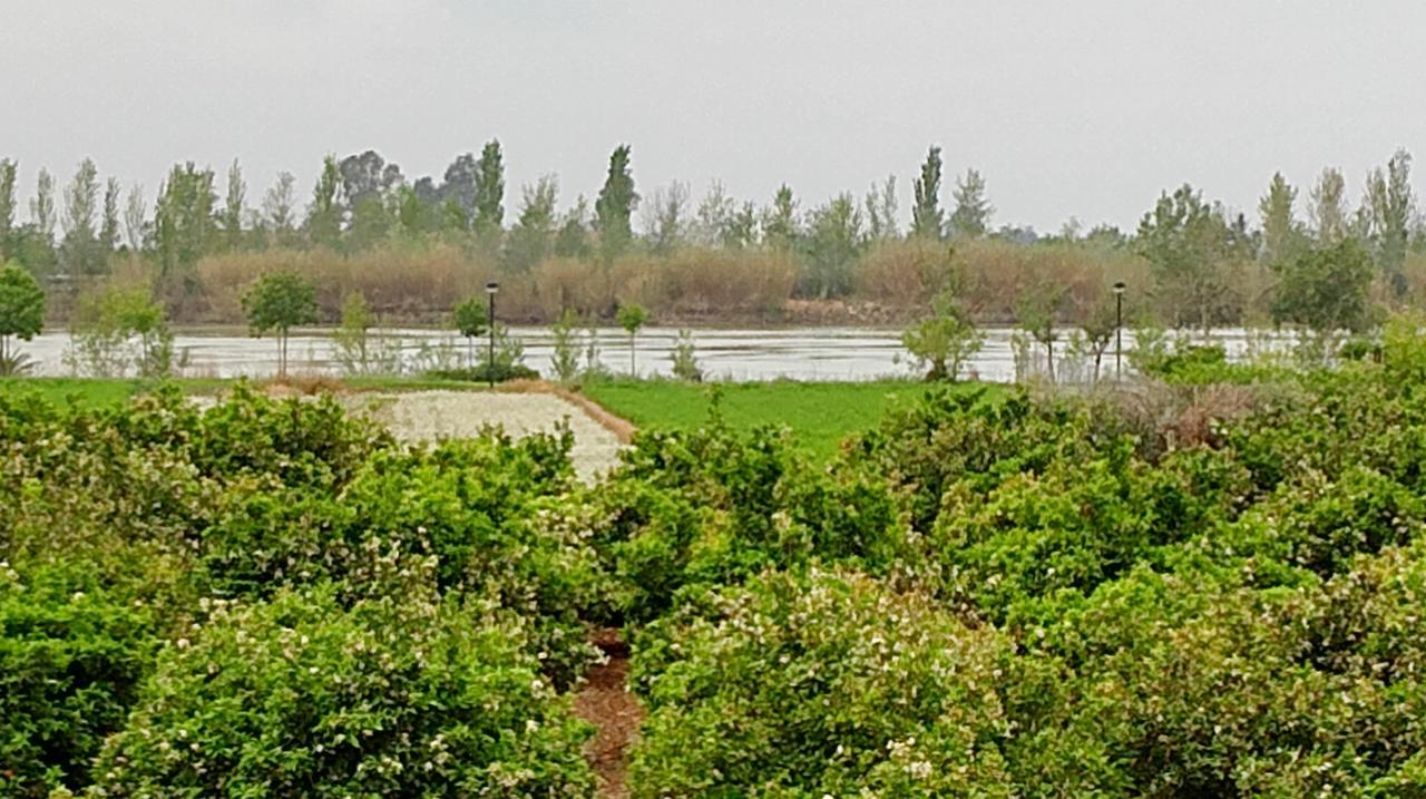 La Caseta Del Pitxo Deltebre Extérieur photo